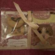 ヒメ日記 2025/02/18 12:01 投稿 ほとり ふぞろいの人妻たち