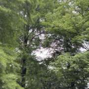 ヒメ日記 2025/05/19 11:00 投稿 ほとり ふぞろいの人妻たち