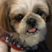 ヒメ日記 2025/06/12 22:31 投稿 ほとり ふぞろいの人妻たち