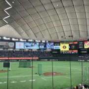 ほとり 野球観戦(*^^*)そして自分磨き ふぞろいの人妻たち