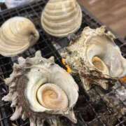 ヒメ日記 2026/04/13 10:00 投稿 ほとり ふぞろいの人妻たち