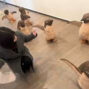 ヒメ日記 2025/02/27 02:58 投稿 えま☆超美巨乳キス好きエロ愛嬌♪ 妹系イメージSOAP萌えフードル学園 大宮本校