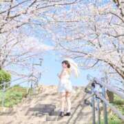 ヒメ日記 2025/04/27 09:06 投稿 えま☆超美巨乳キス好きエロ愛嬌♪ 妹系イメージSOAP萌えフードル学園 大宮本校