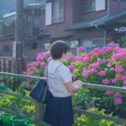 ヒメ日記 2025/06/13 08:16 投稿 えま☆超美巨乳キス好きエロ愛嬌♪ 妹系イメージSOAP萌えフードル学園 大宮本校