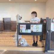 ヒメ日記 2026/03/20 14:48 投稿 えま☆超美巨乳キス好きエロ愛嬌♪ 妹系イメージSOAP萌えフードル学園 大宮本校