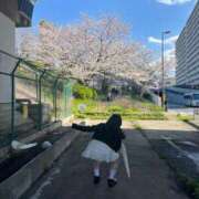 ヒメ日記 2026/04/22 08:01 投稿 えま☆超美巨乳キス好きエロ愛嬌♪ 妹系イメージSOAP萌えフードル学園 大宮本校