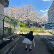 ヒメ日記 2026/04/22 08:21 投稿 えま☆超美巨乳キス好きエロ愛嬌♪ 妹系イメージSOAP萌えフードル学園 大宮本校