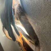 ヒメ日記 2025/11/04 08:10 投稿 えあ☆モデル系巨乳JK JKサークル