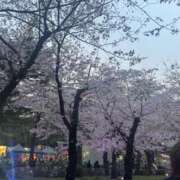 ヒメ日記 2026/03/30 07:03 投稿 えあ☆モデル系巨乳JK JKサークル