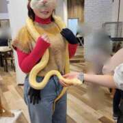 ヒメ日記 2025/01/14 20:27 投稿 るり・過激すぎる生動画配信中 奥様メモリアル