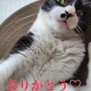 ヒメ日記 2025/06/01 02:03 投稿 るり・過激すぎる生動画配信中 奥様メモリアル