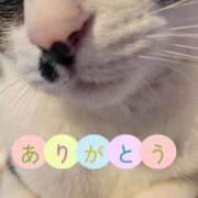 ヒメ日記 2025/07/07 11:33 投稿 るり・過激すぎる生動画配信中 奥様メモリアル