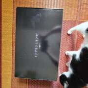 ヒメ日記 2025/09/24 22:18 投稿 るり・過激すぎる生動画配信中 奥様メモリアル