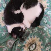 ヒメ日記 2025/12/19 06:18 投稿 るり・過激すぎる生動画配信中 奥様メモリアル