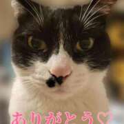 るり・過激すぎる生動画配信中 上がりました☆ 奥様メモリアル