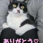 ヒメ日記 2026/04/22 01:48 投稿 るり・過激すぎる生動画配信中 奥様メモリアル