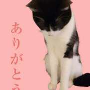 ヒメ日記 2026/04/25 04:03 投稿 るり・過激すぎる生動画配信中 奥様メモリアル