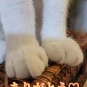 ヒメ日記 2026/04/28 02:42 投稿 るり・過激すぎる生動画配信中 奥様メモリアル