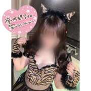 ヒメ日記 2024/12/30 23:11 投稿 るりあ 秋葉原コスプレ学園(AKG)