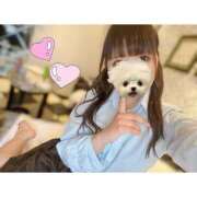 ヒメ日記 2025/04/02 16:11 投稿 るりあ 秋葉原コスプレ学園(AKG)