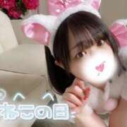 ヒメ日記 2025/02/22 13:32 投稿 ちの 白いぽっちゃりさん錦糸町店