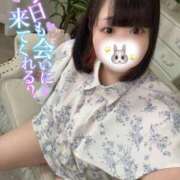 ヒメ日記 2025/05/19 14:37 投稿 ちの 白いぽっちゃりさん錦糸町店