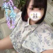 ヒメ日記 2025/06/15 01:07 投稿 ちの 白いぽっちゃりさん錦糸町店