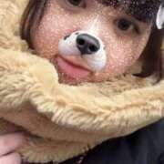 ヒメ日記 2026/02/19 14:10 投稿 ちの 白いぽっちゃりさん錦糸町店