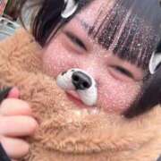 ヒメ日記 2026/02/26 19:17 投稿 ちの 白いぽっちゃりさん錦糸町店