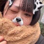 ヒメ日記 2026/03/03 12:07 投稿 ちの 白いぽっちゃりさん錦糸町店