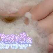 ヒメ日記 2026/04/22 17:47 投稿 ちの 白いぽっちゃりさん錦糸町店