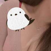 ヒメ日記 2025/10/19 00:24 投稿 りん マリン宮殿水戸店