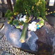 ヒメ日記 2025/12/30 20:45 投稿 保坂 人妻風俗チャンネル