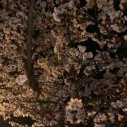 ヒメ日記 2025/04/06 21:58 投稿 みほ エレガンス(広島)