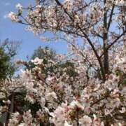 ヒメ日記 2025/04/19 17:25 投稿 みほ エレガンス(広島)