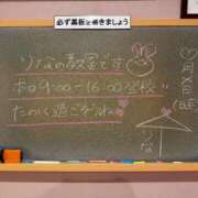 ヒメ日記 2026/01/25 08:52 投稿 りな☆愛くるしい笑顔に癒される♪ 妹系イメージSOAP萌えフードル学園 大宮本校