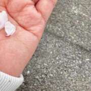 ヒメ日記 2026/04/04 09:20 投稿 りな☆愛くるしい笑顔に癒される♪ 妹系イメージSOAP萌えフードル学園 大宮本校