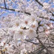 ヒメ日記 2026/04/28 20:03 投稿 りな☆愛くるしい笑顔に癒される♪ 妹系イメージSOAP萌えフードル学園 大宮本校
