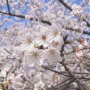 ヒメ日記 2026/04/28 20:21 投稿 りな☆愛くるしい笑顔に癒される♪ 妹系イメージSOAP萌えフードル学園 大宮本校