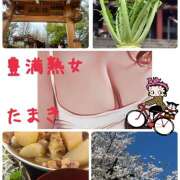 ヒメ日記 2025/04/11 11:06 投稿 たまき 豊満熟女