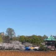 ヒメ日記 2025/04/12 08:58 投稿 たまき 豊満熟女