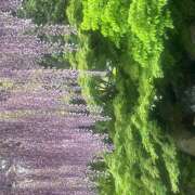 ヒメ日記 2025/04/26 11:14 投稿 たまき 豊満熟女