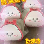 ヒメ日記 2025/06/30 12:16 投稿 たまき 豊満熟女