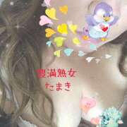 ヒメ日記 2025/07/06 09:36 投稿 たまき 豊満熟女