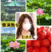 ヒメ日記 2025/07/17 11:20 投稿 たまき 豊満熟女