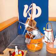 ヒメ日記 2025/08/20 11:18 投稿 たまき 豊満熟女