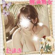 ヒメ日記 2025/11/01 10:02 投稿 たまき 豊満熟女