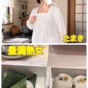 たまき 夏は扉をあけ〜て〜♪♪ 豊満熟女