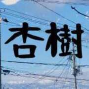 ヒメ日記 2024/03/22 08:50 投稿 杏樹-あんじゅ- 人妻倶楽部 花椿 大崎店