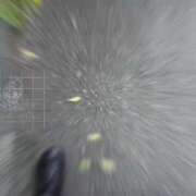 ヒメ日記 2025/04/12 17:31 投稿 みずほ 浜松駅前ちゃんこ